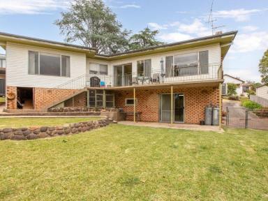 House For Sale - NSW - Bega - 2550 - ELEVATED, NORTH-EASTERLY ASPECT  (Image 2)