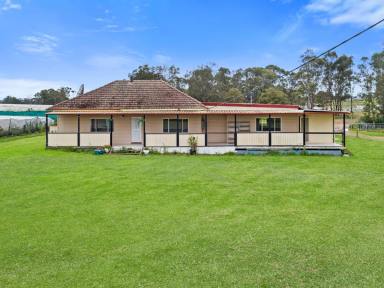 House Sold - NSW - Leppington - 2179 - RURAL PROPERTY IN WESTERN SYDNEY GROWTH AREA  (Image 2)