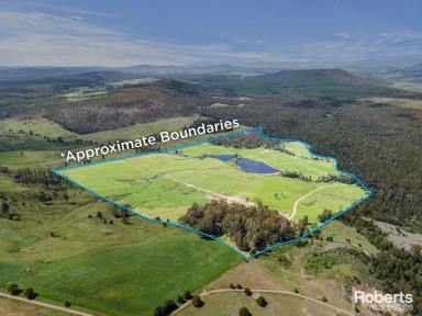 Lifestyle For Sale - TAS - Sassafras - 7307 - 200 acres of fertile land in renowned Sassafras  (Image 2)