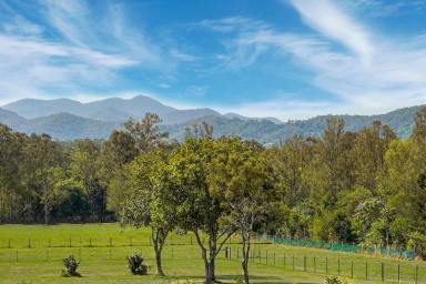 House Sold - QLD - Camp Mountain - 4520 - Where Charm Meets Modern Comfort!  (Image 2)