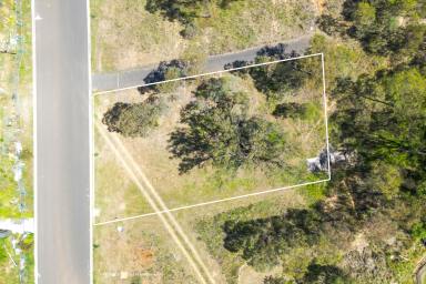 Residential Block For Sale - NSW - Tamworth - 2340 - Build Your East Tamworth Dream!  (Image 2)