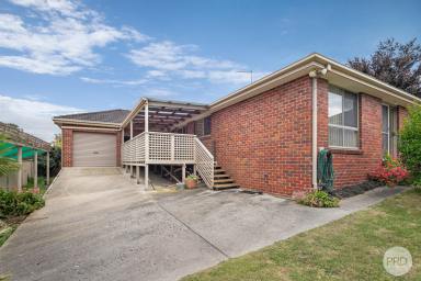 House For Sale - VIC - Mount Pleasant - 3350 - Spacious Family Living In Sought-After Mount Pleasant  (Image 2)