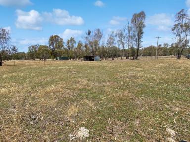 Residential Block For Sale - NSW - Narrandera - 2700 - UNIQUE BLOCK  (Image 2)