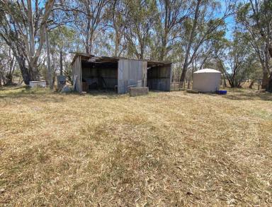 Residential Block For Sale - NSW - Narrandera - 2700 - UNIQUE BLOCK  (Image 2)