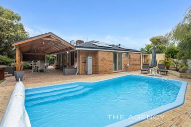 House For Sale - WA - Beldon - 6027 - A STUNNING BACKYARD THAT HAS PLENTY TO OFFER!!!!  (Image 2)