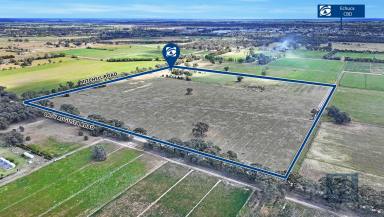 House Sold - VIC - Echuca - 3564 - Rural Lifestyle Property just minutes from Echuca (16.5ha*)  (Image 2)