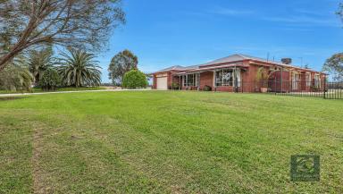 House Sold - VIC - Echuca - 3564 - Rural Lifestyle Property just minutes from Echuca (16.5ha*)  (Image 2)