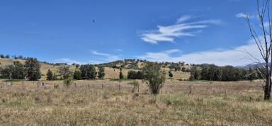 Mixed Farming For Sale - NSW - Yarrabin - 2850 - "Redbank"  (Image 2)