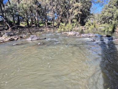 Mixed Farming For Sale - NSW - Yarrabin - 2850 - "Redbank"  (Image 2)