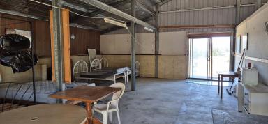 Mixed Farming For Sale - NSW - Yarrabin - 2850 - "Redbank"  (Image 2)