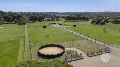 Acreage/Semi-rural For Sale - VIC - Balnarring - 3926 - Prime Equestrian Estate in Blue Chip Location.  (Image 2)