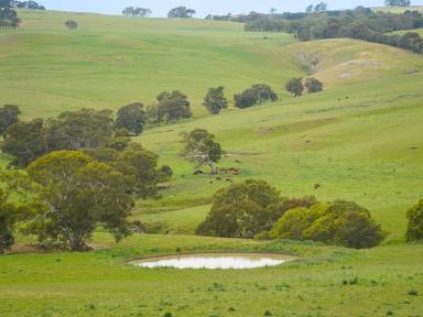 Commercial Farming For Sale - VIC - Coleraine - 3315 - FOR LEASE BY TENDER  (Image 2)