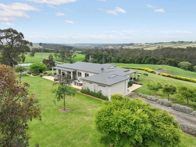 Lifestyle For Sale - VIC - Cooriemungle - 3268 - “Emerald Rise”      SUPERB GREATER OTWAYS PROPERTY  (Image 2)