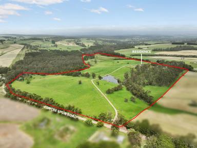 Lifestyle For Sale - VIC - Cooriemungle - 3268 - “Emerald Rise”      SUPERB GREATER OTWAYS PROPERTY  (Image 2)