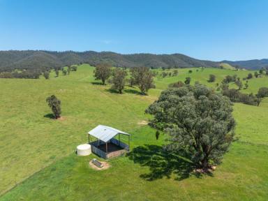 Mixed Farming Sold - VIC - Reedy Flat - 3895 - ONCE IN A LIFETIME FARM!  (Image 2)