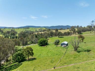 Mixed Farming Sold - VIC - Reedy Flat - 3895 - ONCE IN A LIFETIME FARM!  (Image 2)