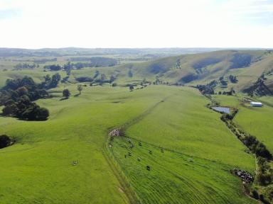 Other (Rural) For Sale - VIC - Krowera - 3945 - Classic Kernot Lifestyle/Grazing - 146 Acres  (Image 2)