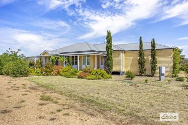 Lifestyle For Sale - VIC - Moyston - 3377 - A Serene 20-Acre Retreat with Grampians Views: Modern Living Meets Rural Tranquility  (Image 2)