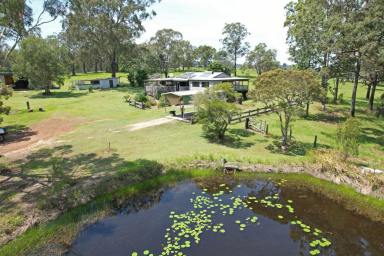 Acreage/Semi-rural For Sale - NSW - Tucabia - 2462 - Coastal Hinterland Acreage  (Image 2)