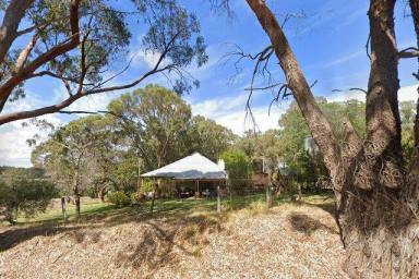 House For Sale - WA - Eglinton - 6034 - Rare Rural Land on the Edge of Suburbia  (Image 2)