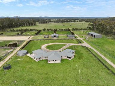 Lifestyle For Sale - VIC - Gerangamete - 3249 - PICTURESQUE COLAC – OTWAY DISTRICT PROPERTY  (Image 2)