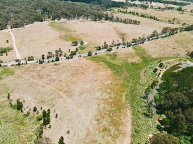 Lifestyle For Sale - NSW - Bannaby - 2580 - 243 ACRES, Permanent Creek, Plenty Of Water, Good Grazing Country, Potential To Build, Road Frontage, Power, Mixed Landscape.  (Image 2)