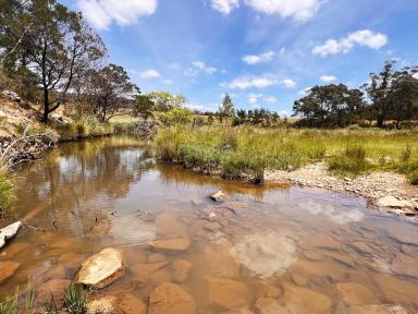 Lifestyle For Sale - NSW - Bannaby - 2580 - 243 ACRES, Permanent Creek, Plenty Of Water, Good Grazing Country, Potential To Build, Road Frontage, Power, Mixed Landscape.  (Image 2)