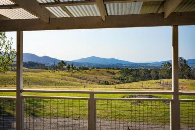 Acreage/Semi-rural For Sale - NSW - Quaama - 2550 - Versatile Lifestyle Property with Endless Possibilities on 120ha  (Image 2)