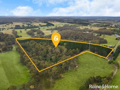 House For Sale - NSW - Exeter - 2579 - Stunning 25-Acre Property with Farmhouse & Sub-Division Potential  (Image 2)