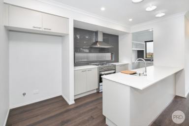 House For Sale - VIC - Lucas - 3350 - Modern Living In Popular Lucas Platinum - Currently Leased Until April 2025  (Image 2)