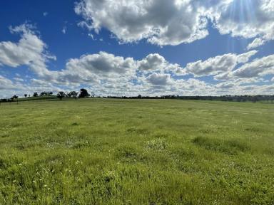 Residential Block For Sale - NSW - Jugiong - 2726 - Great Rural Location  (Image 2)