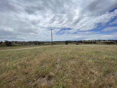 Residential Block For Sale - NSW - Jugiong - 2726 - Great Rural Location  (Image 2)