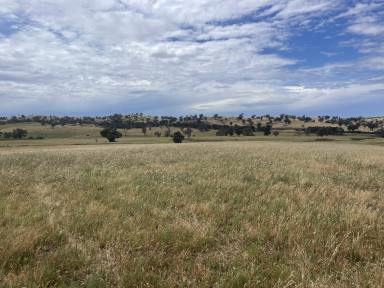 Residential Block For Sale - NSW - Jugiong - 2726 - Great Rural Location  (Image 2)