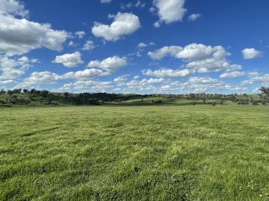 Residential Block For Sale - NSW - Jugiong - 2726 - Great Rural Location  (Image 2)