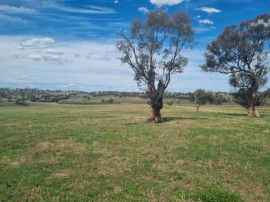 Residential Block For Sale - NSW - Jugiong - 2726 - Great Rural Location  (Image 2)