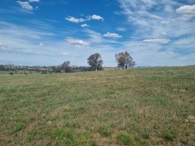 Residential Block For Sale - NSW - Jugiong - 2726 - Great Rural Location  (Image 2)