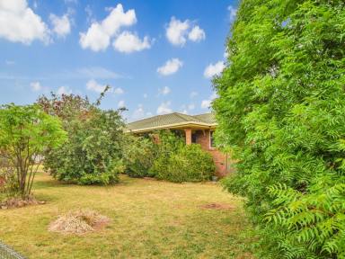 House Auction - NSW - Young - 2594 - 2.19acs* Only A 2 Minute* Drive To The Main Street  (Image 2)