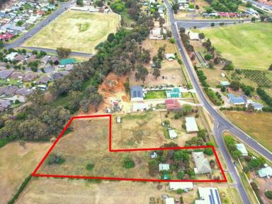 House For Sale - NSW - Young - 2594 - 2.19acs* Only A 2 Minute* Drive To The Main Street  (Image 2)