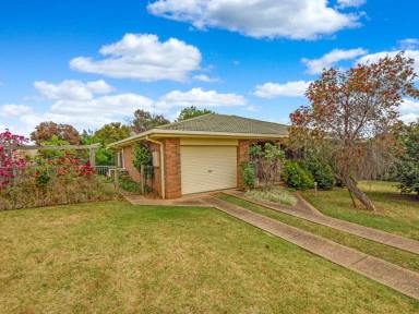 House For Sale - NSW - Young - 2594 - 2.19acs* Only A 2 Minute* Drive To The Main Street  (Image 2)