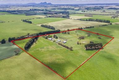 Farmlet For Sale - VIC - Tarrington - 3301 - 'Merrigum' Stunning Tarrington Property  (Image 2)