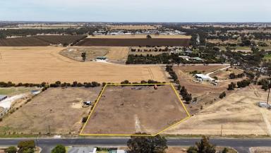 Residential Block For Sale - SA - Bordertown - 5268 - Build the House of your Dreams on Acres  (Image 2)