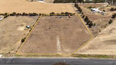 Residential Block For Sale - SA - Bordertown - 5268 - Build the House of your Dreams on Acres  (Image 2)