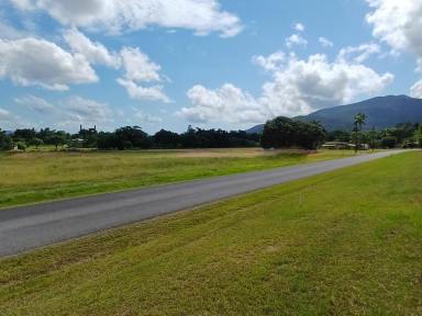 Residential Block For Sale - QLD - Tully - 4854 - LARGE FLAT ACREAGE BLOCK IN TOWN (121-129 BRYANT ST,TULLY)  (Image 2)