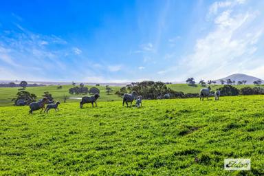 Mixed Farming For Sale - VIC - Ararat - 3377 - Premium Western Victoria Grazing Opportunity with Infrastructure  (Image 2)