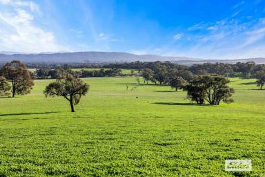 Mixed Farming For Sale - VIC - Ararat - 3377 - Premium Western Victoria Grazing Opportunity with Infrastructure  (Image 2)