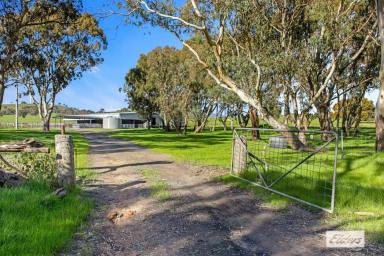 Mixed Farming For Sale - VIC - Ararat - 3377 - Premium Grazing Opportunity with Infrastructure  (Image 2)