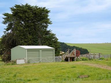 Mixed Farming Auction - VIC - Konongwootong - 3315 - AUCTION Friday 7 February at 1 PM. 272.21 Ac - 110.16 Ha approx.  (Image 2)