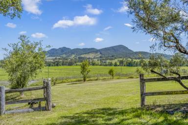 Lifestyle For Sale - NSW - Gloucester - 2422 - Must be Sold - Offers Considered!  (Image 2)