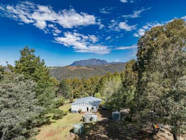 House For Sale - TAS - Wilmot - 7310 - Views of Lake Barrington and Mt Roland  (Image 2)