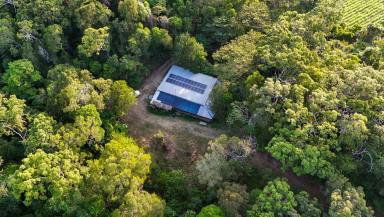 Cropping For Sale - QLD - East Trinity - 4871 - 342 Acres, Off Grid Living and Farming, 3 Bedroom House. (Image 2)